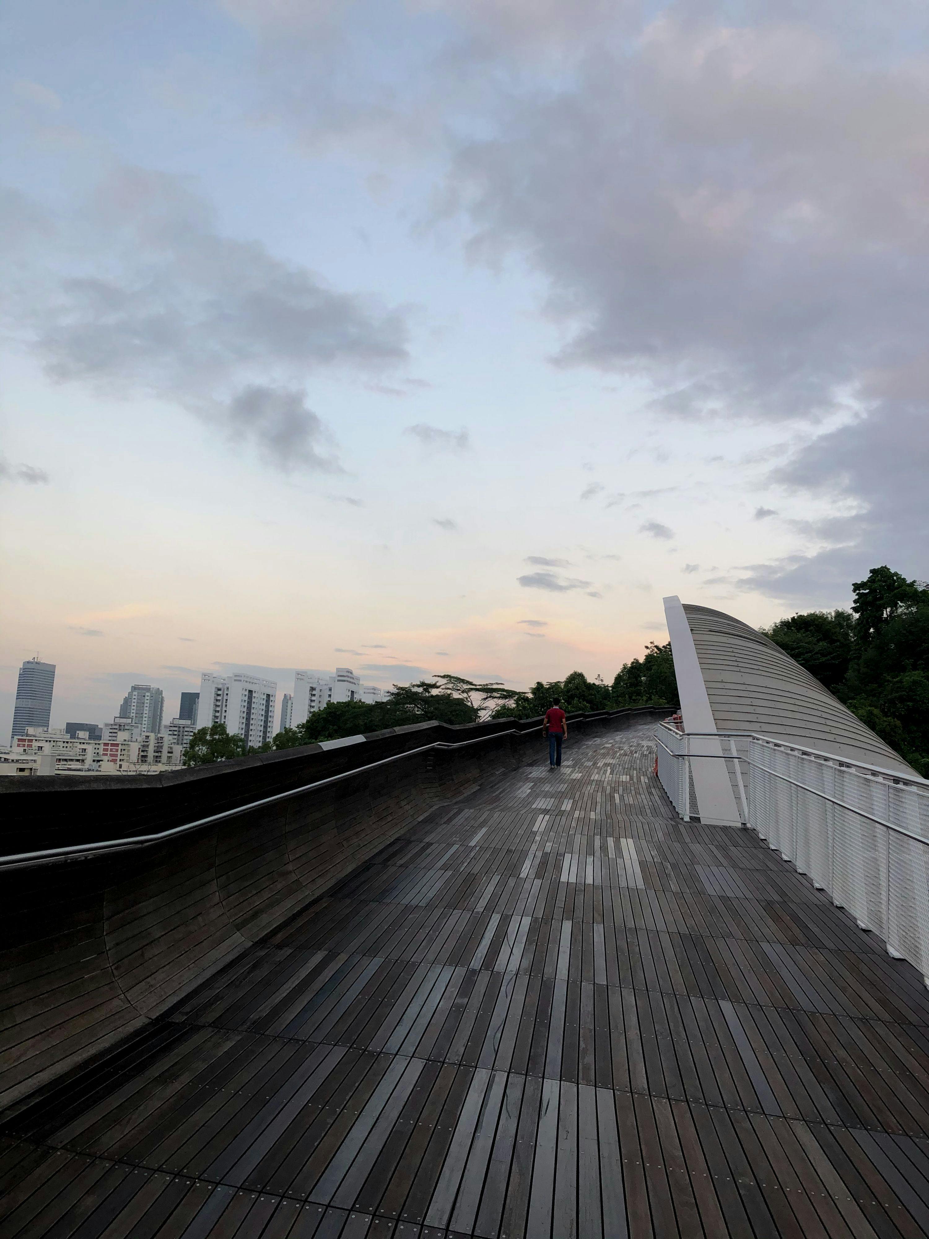 Henderson Waves Bridge